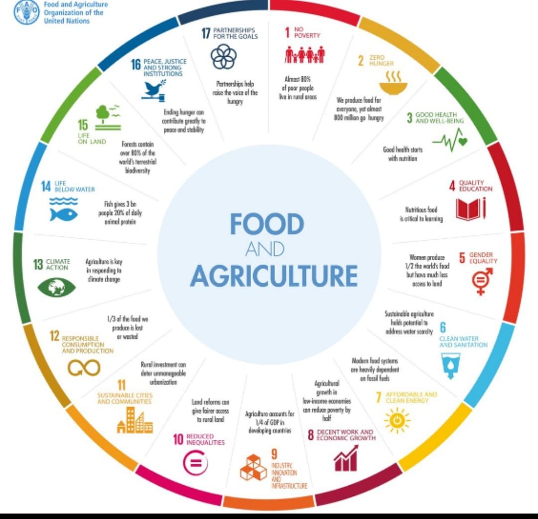 Fresh Homemade Food Available