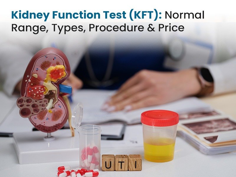 Kidney Function Tests