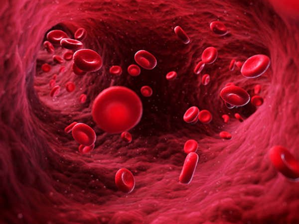 Book Complete Blood Picture Test (కంప్లీట్ బ్లడ్ పిక్చర్)