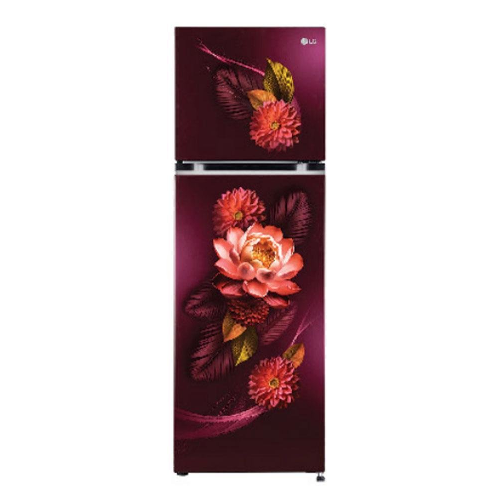 LG 251 Litres 2 Star Double Door Frost Free Refrigerator With Inverter Compressor (GLT2526XWEL, Emerald Lotus)