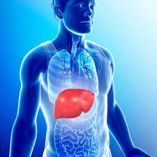 Book Liver Function Test (LFT-A) Test (లివర్ ఫంక్షన్ టెస్ట్)