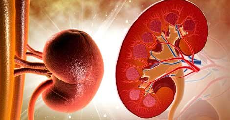 Book Creatinine Test (క్రియాటినిన్)