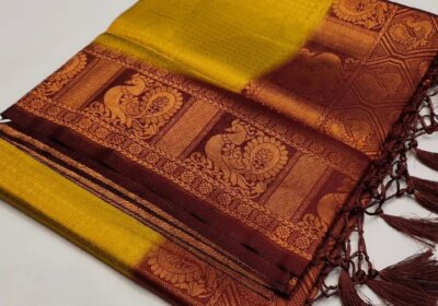 kubera-pattu-soft-silk-saree-2692-2