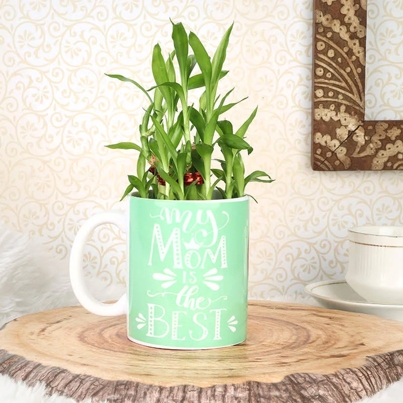 Lucky Bamboo Mug