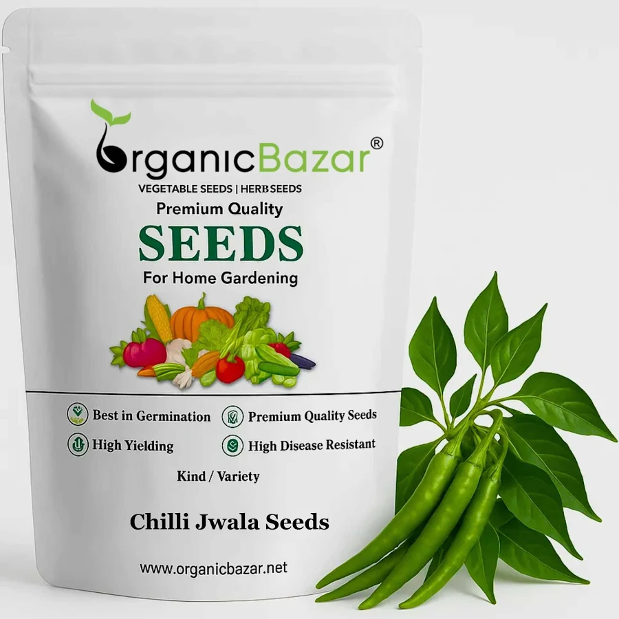 Chilli Jwala (Hari Mirch) Seeds – (50 Seeds)