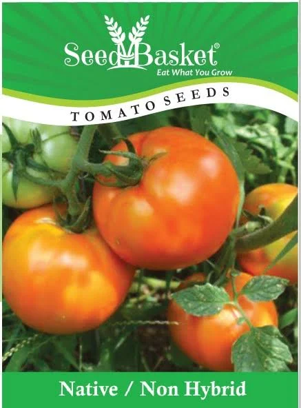 Native Tomato 300 Seeds