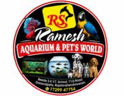 Store Logo