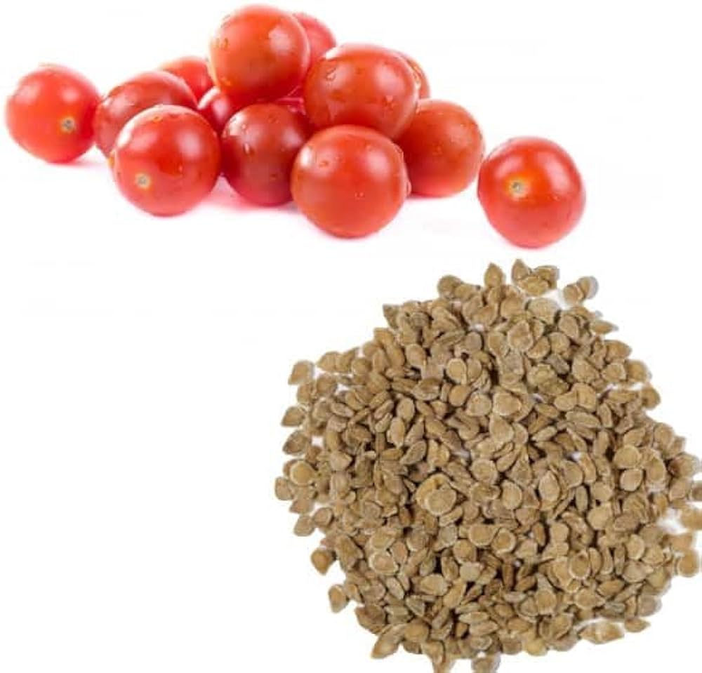 Tomato Seeds (Solanum lycopersicum)