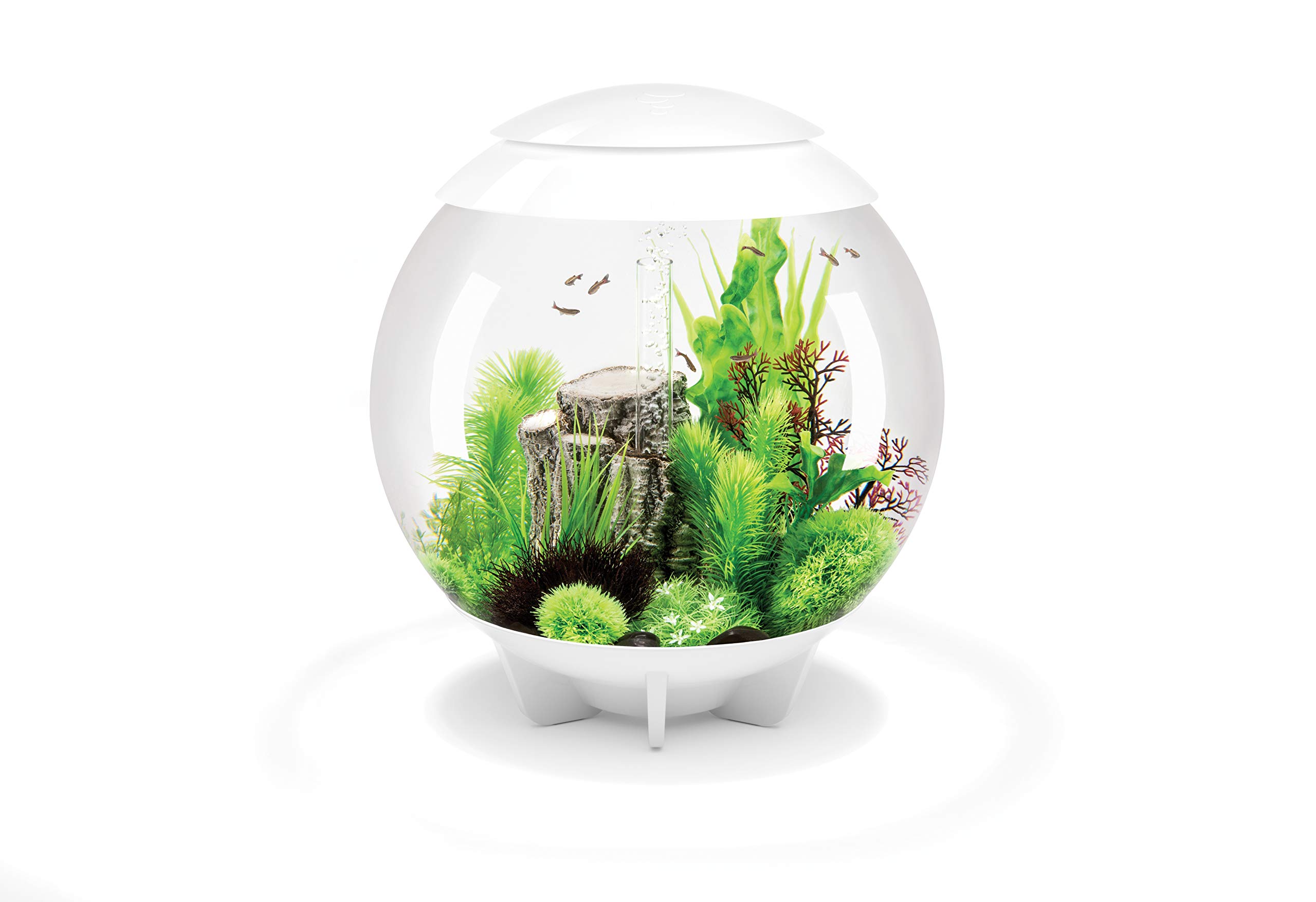 BiOrb Halo Aquarium Bowl