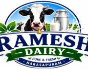 Store Logo