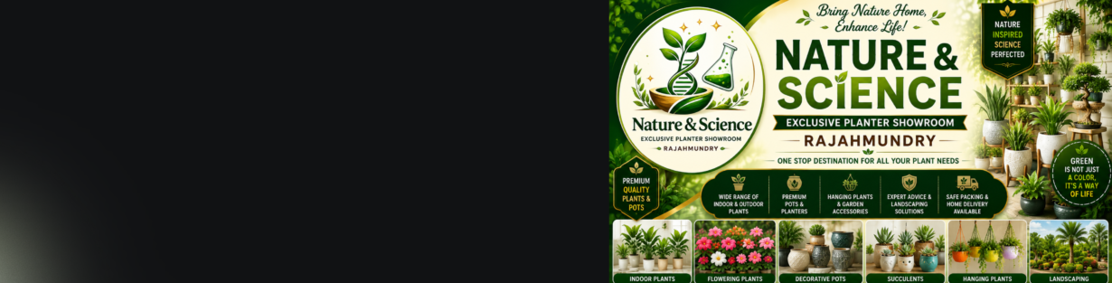 Store Banner
