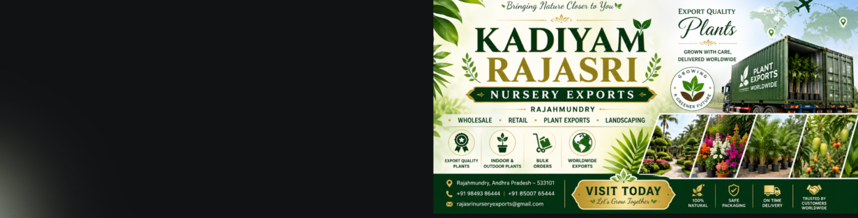 Store Banner