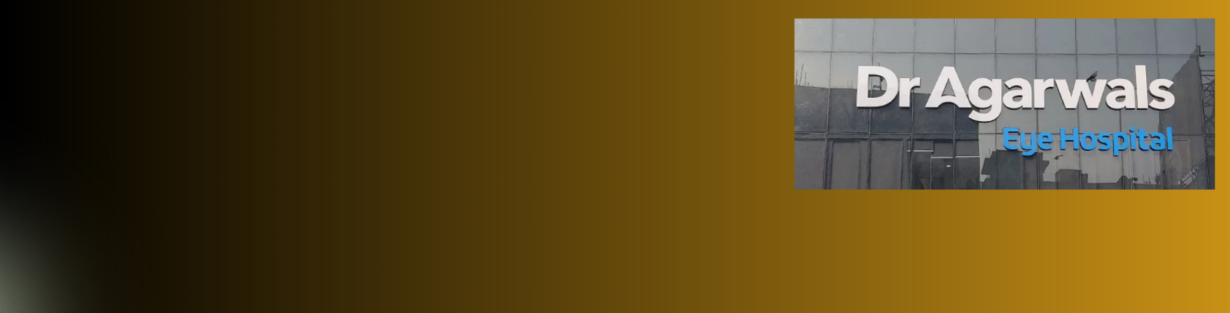 Store Banner
