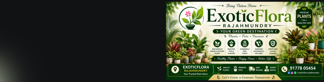 Store Banner