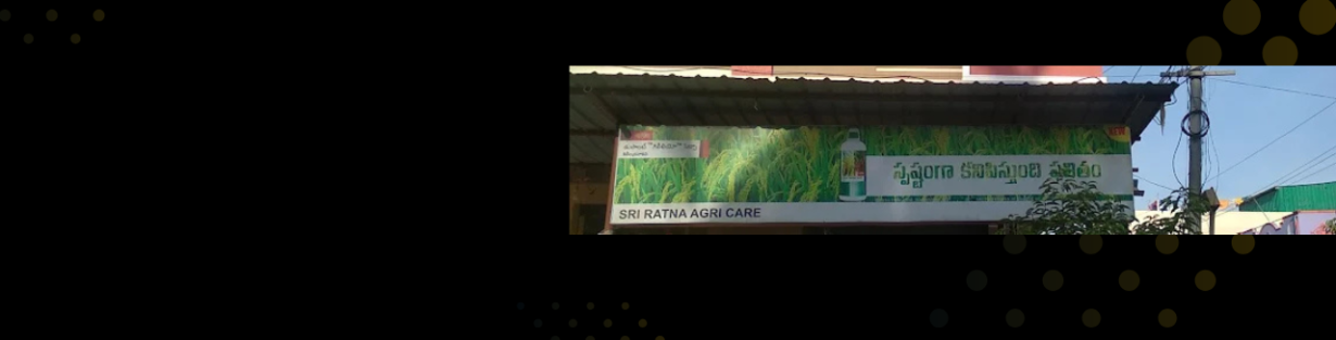 Store Banner