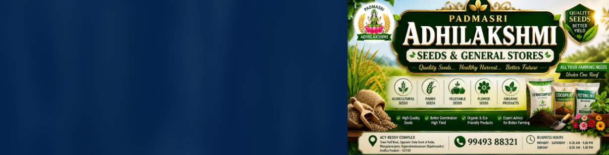 Store Banner