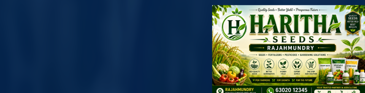 Store Banner