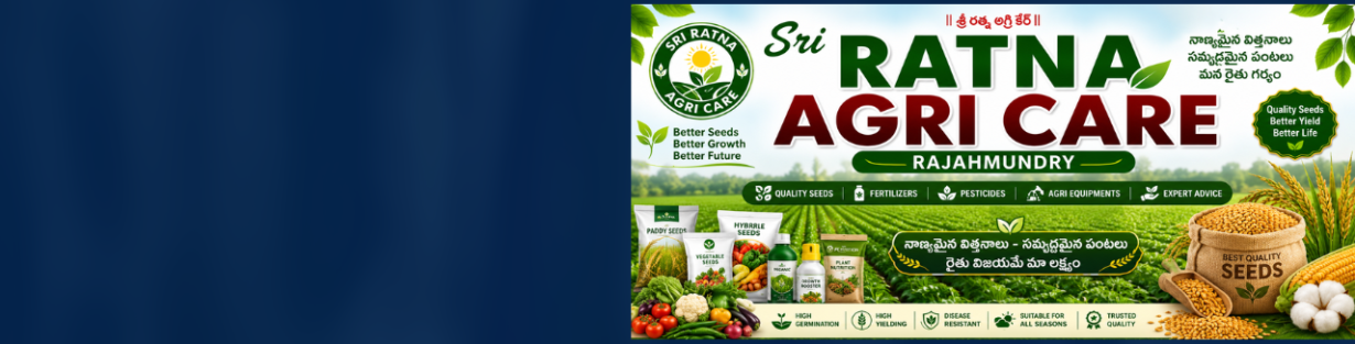 Store Banner