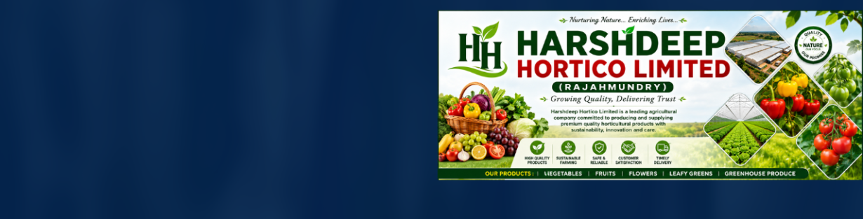 Store Banner