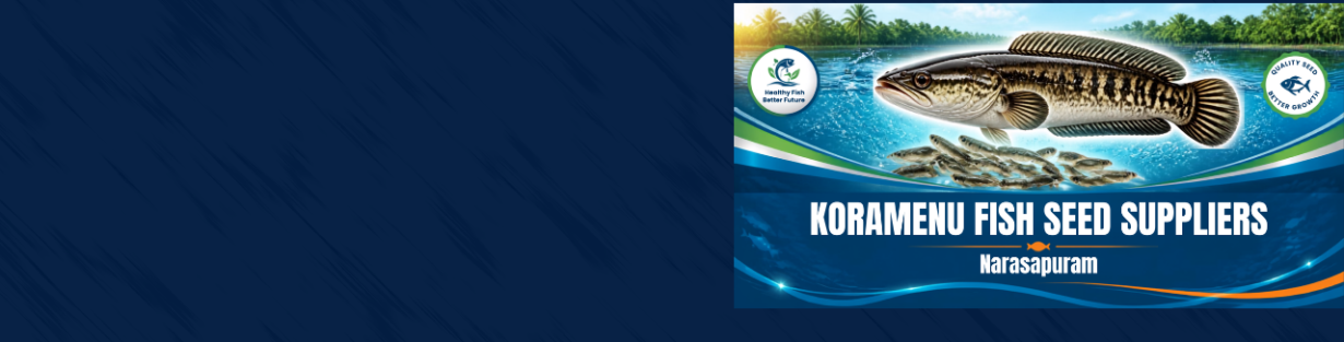 Store Banner