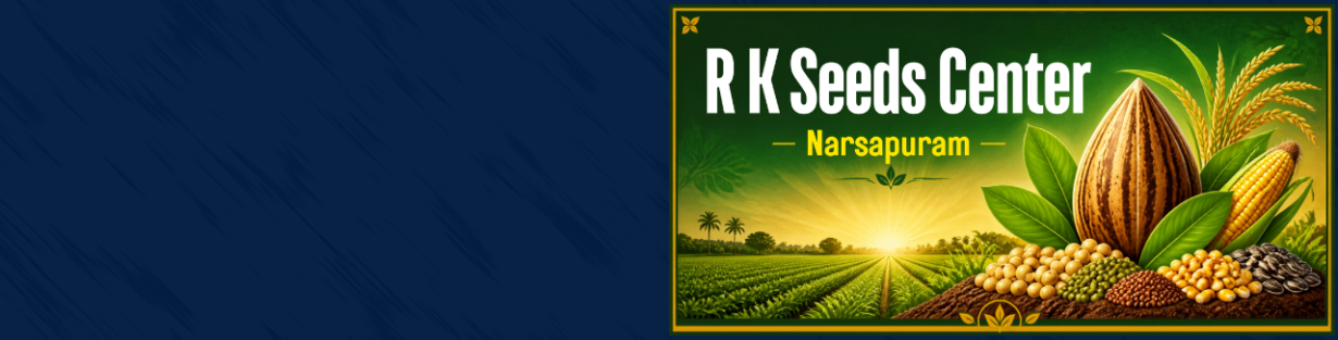 Store Banner