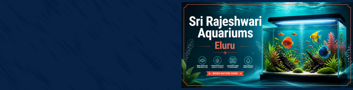 Store Banner