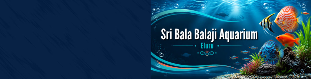 Store Banner