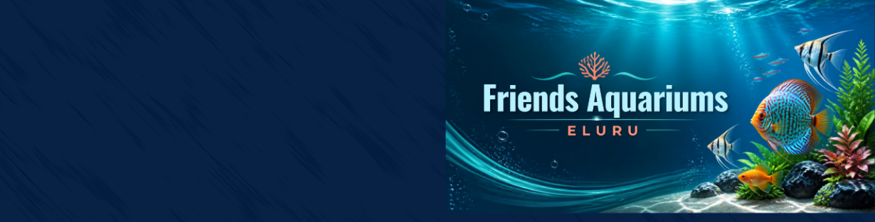 Store Banner