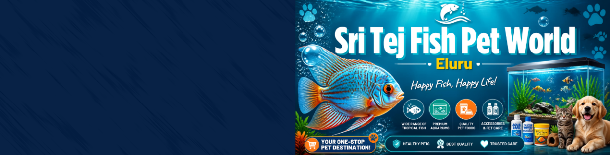 Store Banner