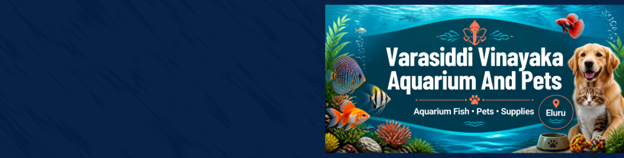 Store Banner