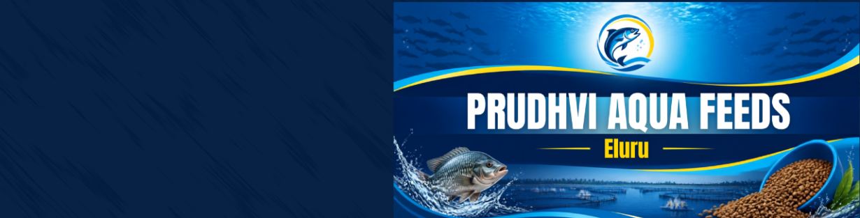 Store Banner