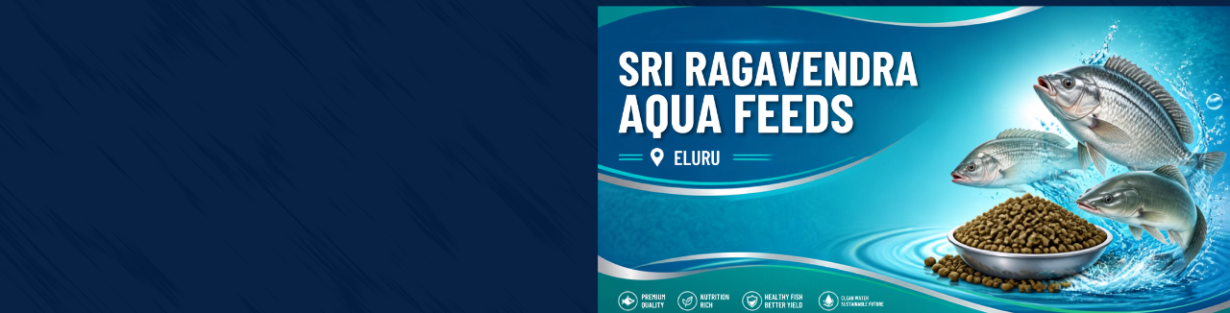 Store Banner
