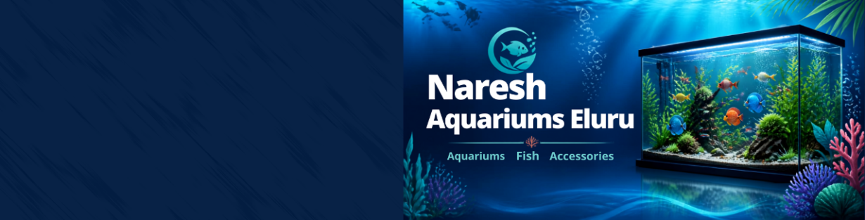 Store Banner