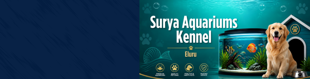 Store Banner