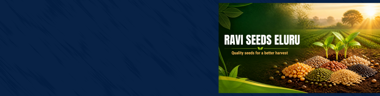 Store Banner