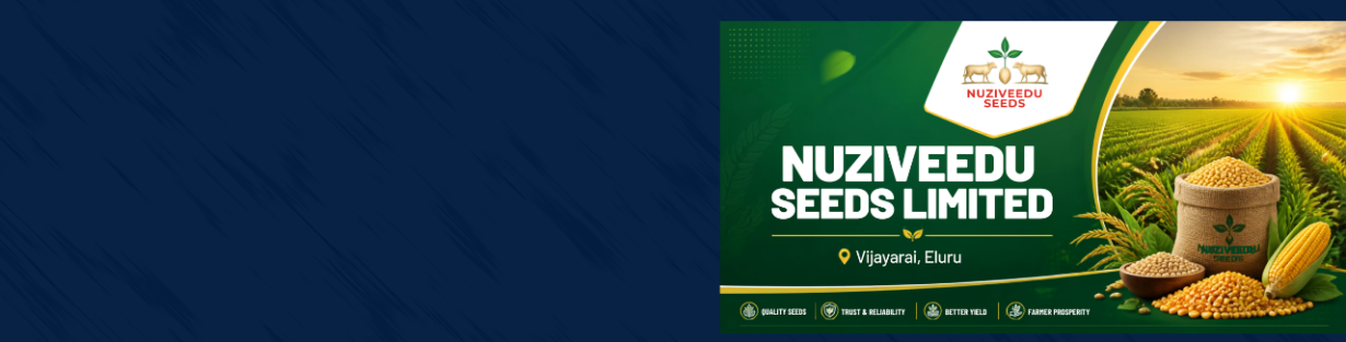 Store Banner