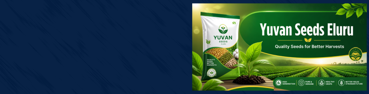 Store Banner