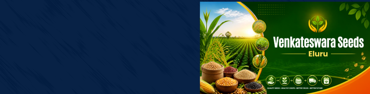 Store Banner