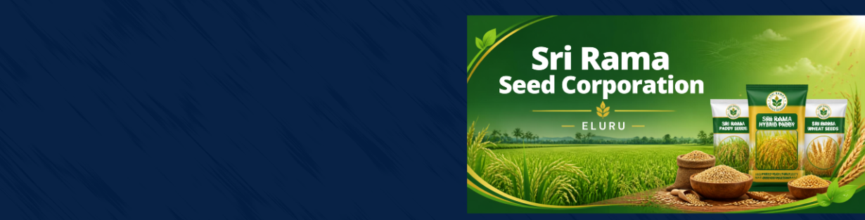 Store Banner