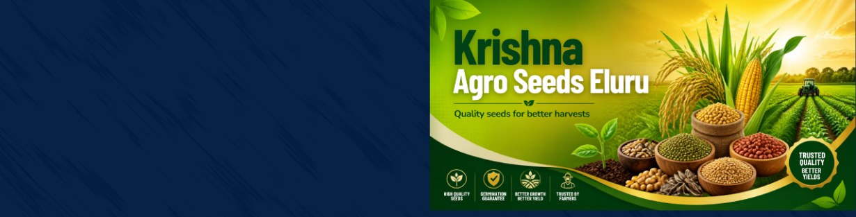 Store Banner