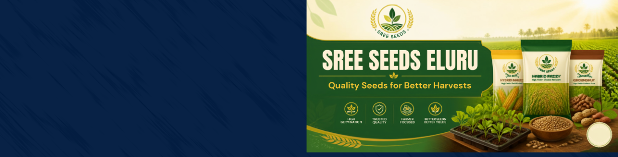 Store Banner