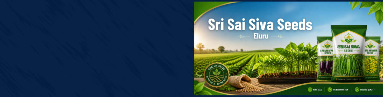 Store Banner