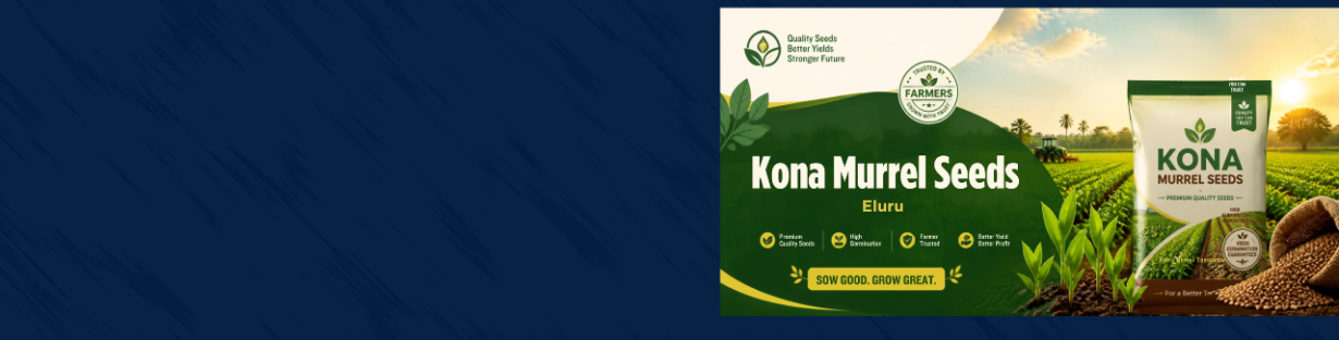 Store Banner