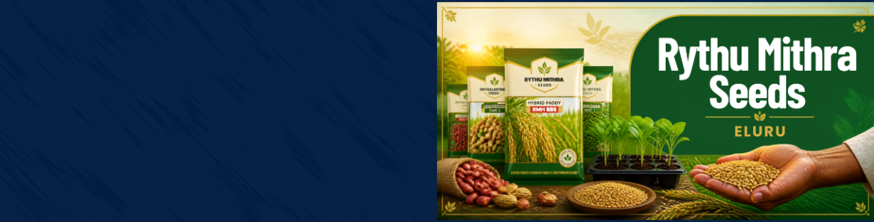 Store Banner