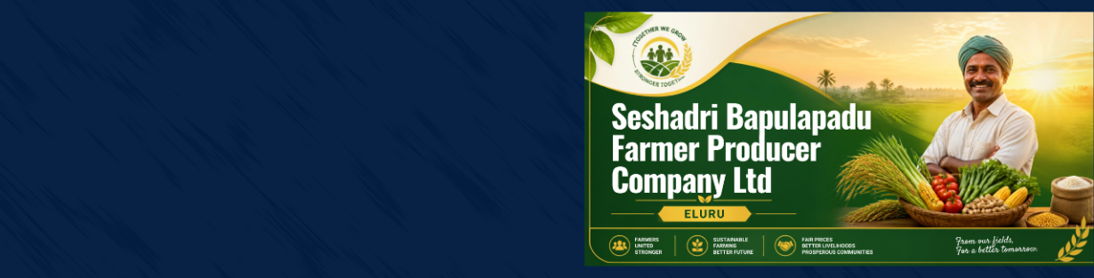 Store Banner