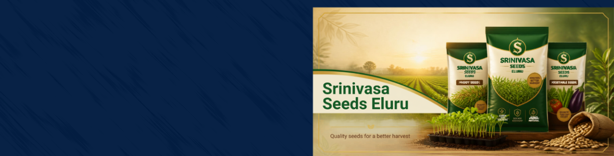 Store Banner