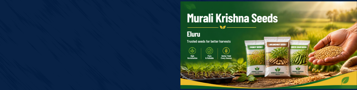 Store Banner