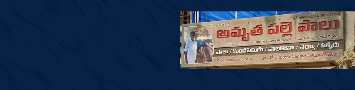 Store Banner