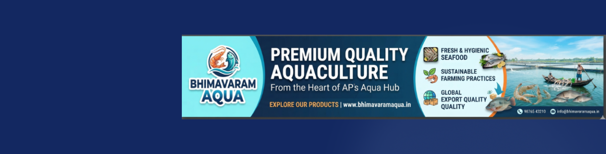 Store Banner