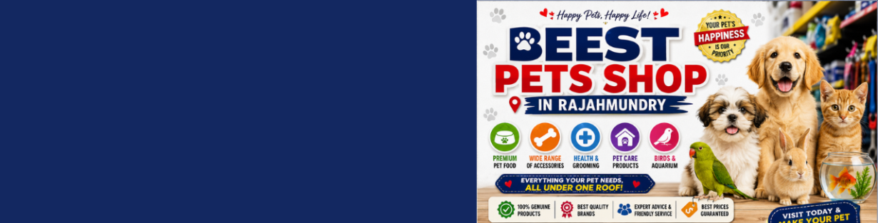 Store Banner